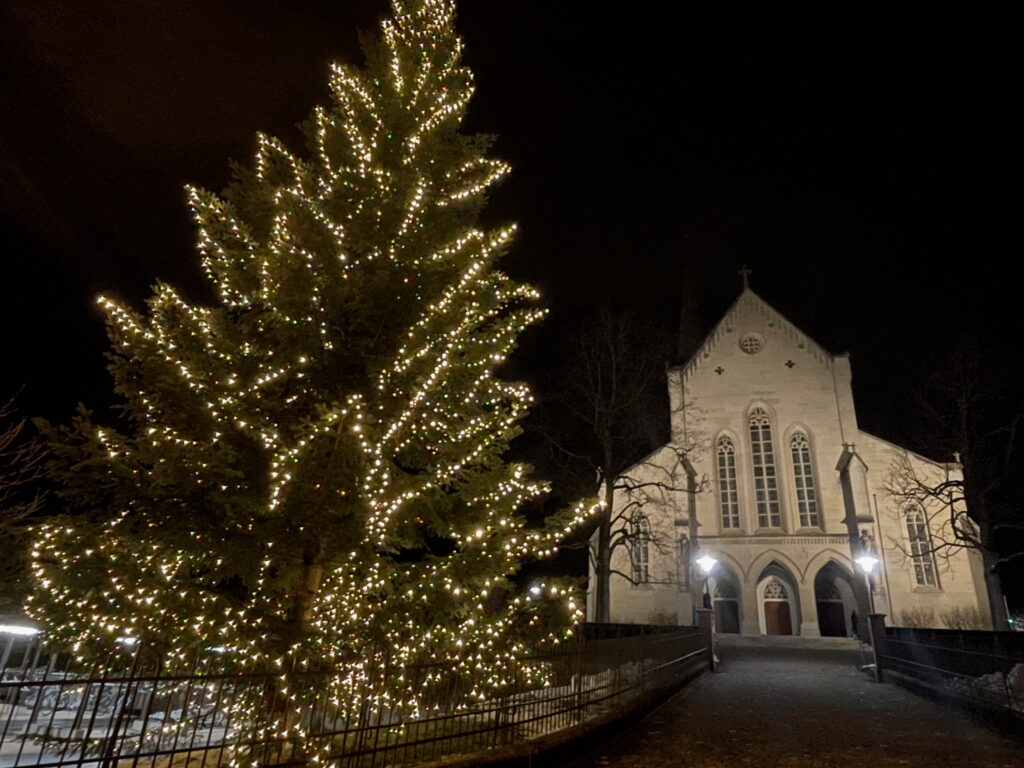 Weihnachtstanne 2024 | © Katholische Kirche Unterägeri